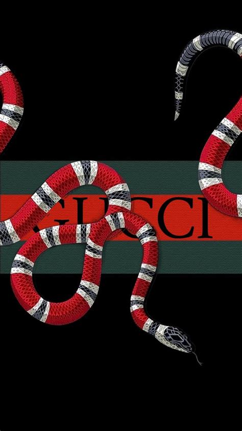 wallpaper gucci snake|supreme gucci snake wallpaper.